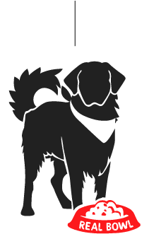 cane-taglia-grande