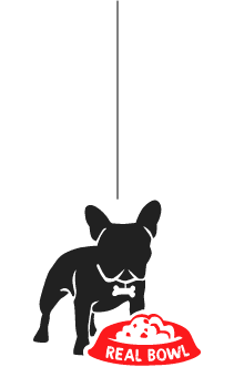 cane-taglia-medio