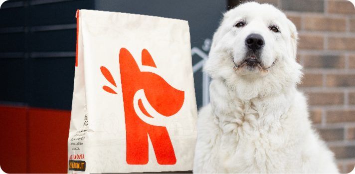labrador-dog-guarding-parcel-near-post-terminal-2023-11-27-04-55-39-utc@2x