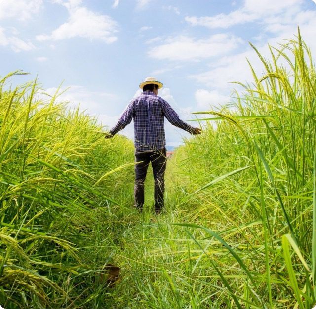 farmer