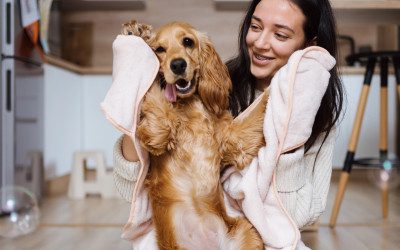 5 cose da fare quando arriva un cucciolo a casa: guida essenziale per un inizio perfetto