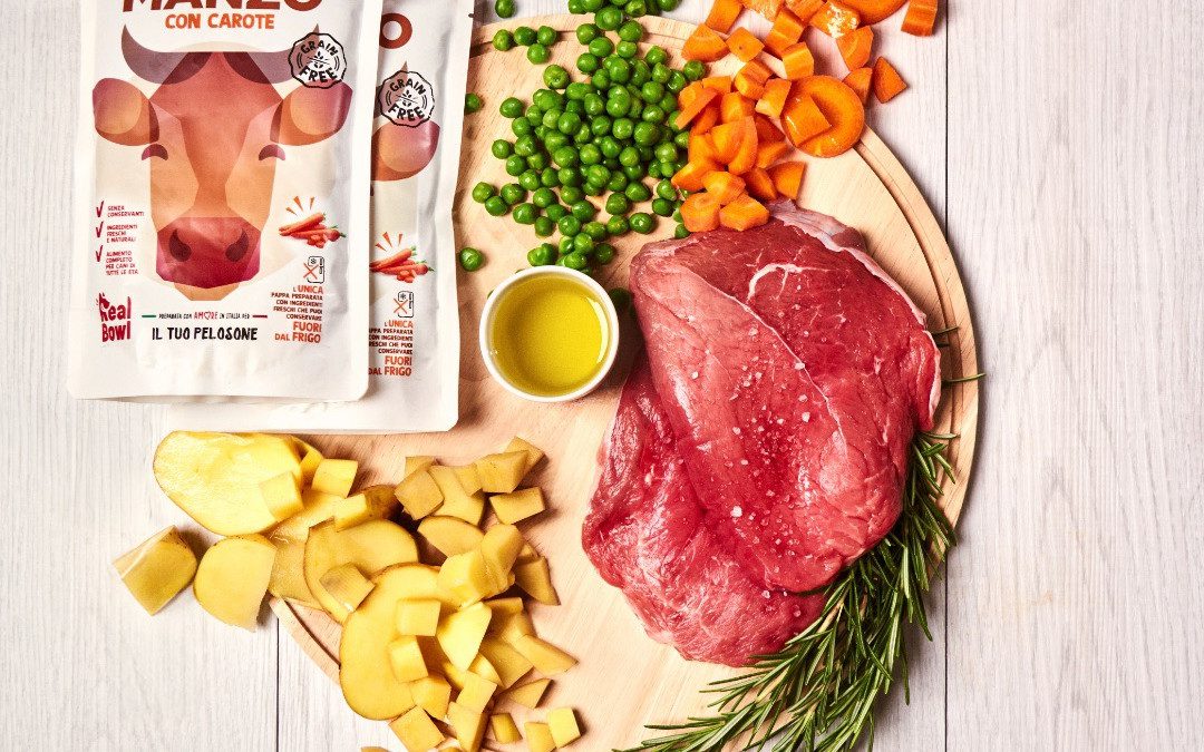 Cani e intolleranza alla proteina del manzo: come scegliere l’alimentazione giusta