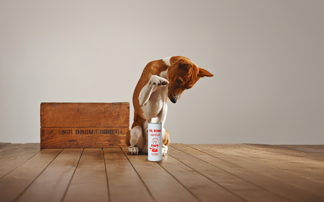 Oil Bowl di Real Bowl: L’alimento complementare per la salute e la bellezza del pelo del tuo cane