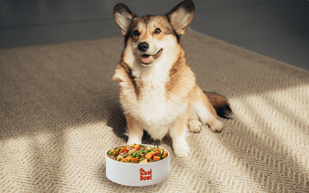 Come modificare la dieta del tuo cane nell’area personale di Real Bowl