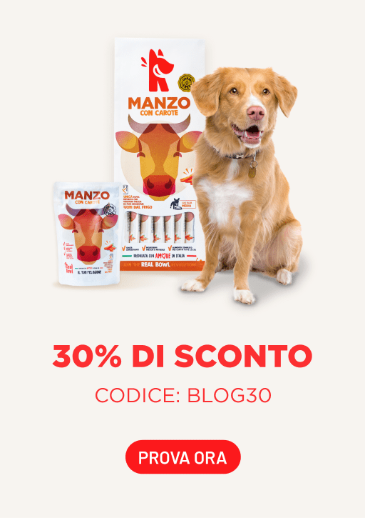 promo_512