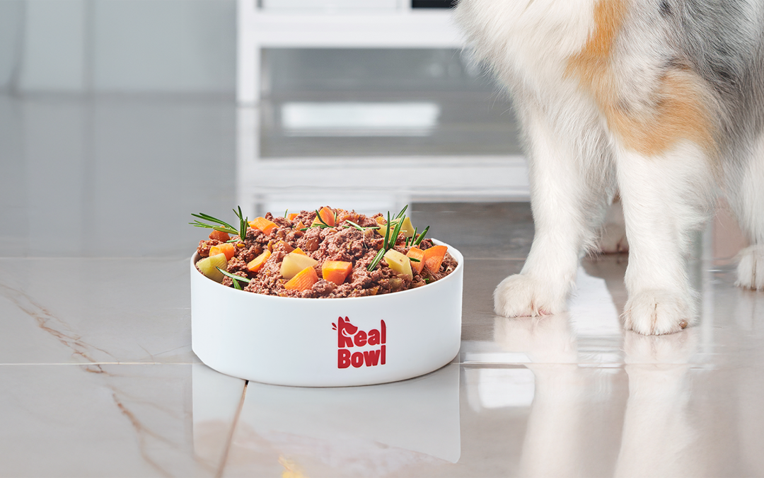 Basta sprechi: scopri come l’abbonamento Real Bowl crea la dieta su misura perfetta per il tuo cane.