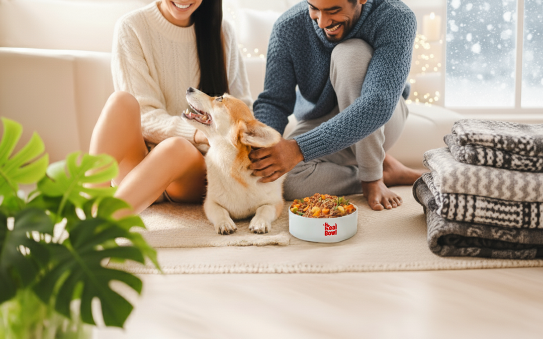 L’importanza della dieta monoproteica (e come Real Bowl la rende gustosa e completa).