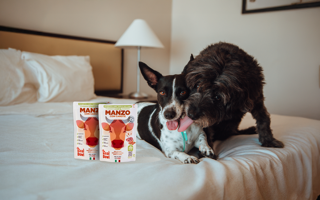 Viaggiare con il Cane: La Pappa Fresca Ideale per i Weekend